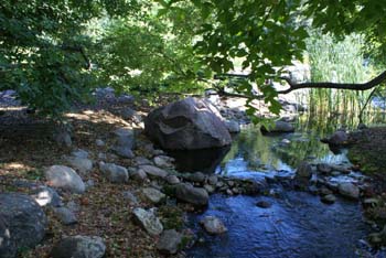 MN