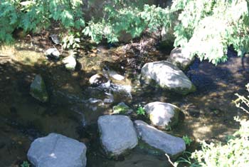 MN