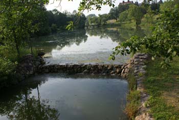 MN
