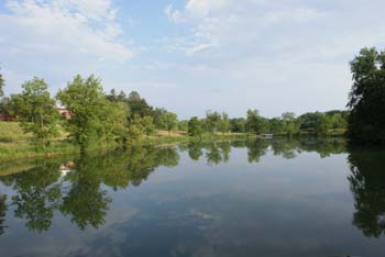MN