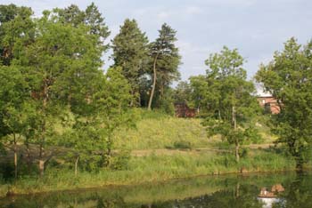 MN