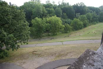 MN